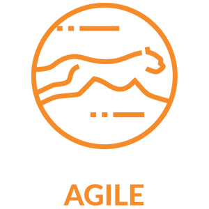 Agile icon